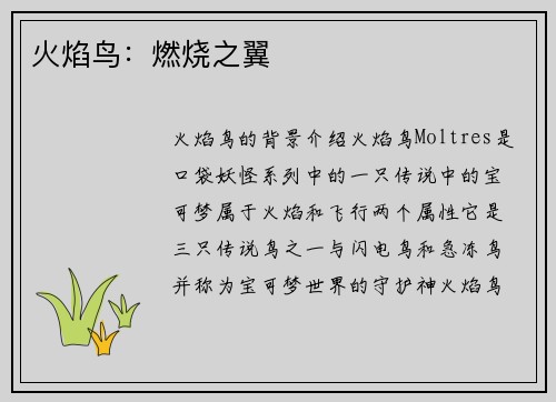 火焰鸟:燃烧之翼
