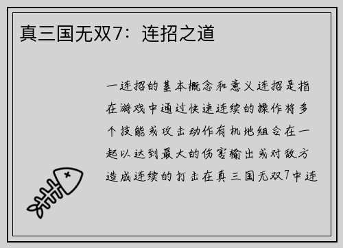 真三国无双7:连招之道